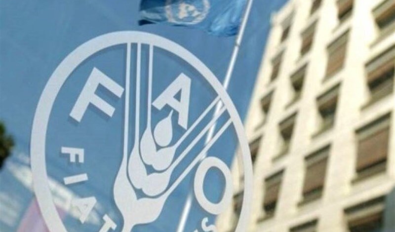 Iran among worlds leading agricultural producers: FAO