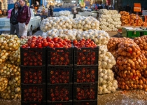 Iran among worlds top agro-food exporters in 2021: FAO