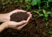 Over 670 national standards set for soil protection
