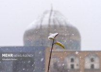 Snowfall brings joy to Iranian cities