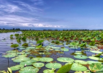 Anzali Wetland revival needs more public participation