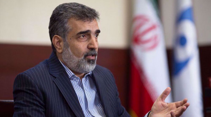 AEOI spokesman: IAEA director general to visit Iran in coming days