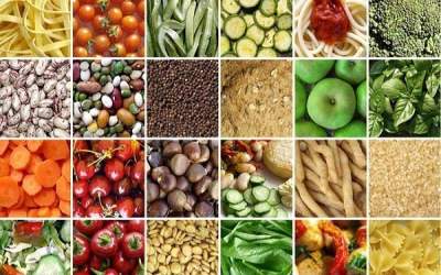 Iran’s export of foodstuffs, agricultural products to Africa up 18%