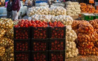 Iran among world’s top agro-food exporters in 2022: FAO