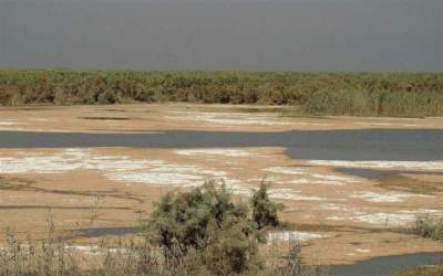Dry weather in autumn threatens wetlands