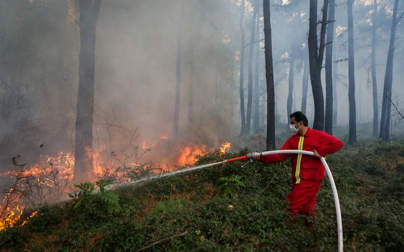 Wildfire contained in northern forests