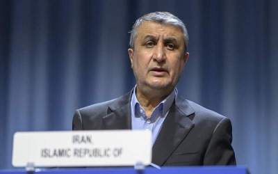 Iran nuclear developments skyrocketed despite plots: AEOI chief