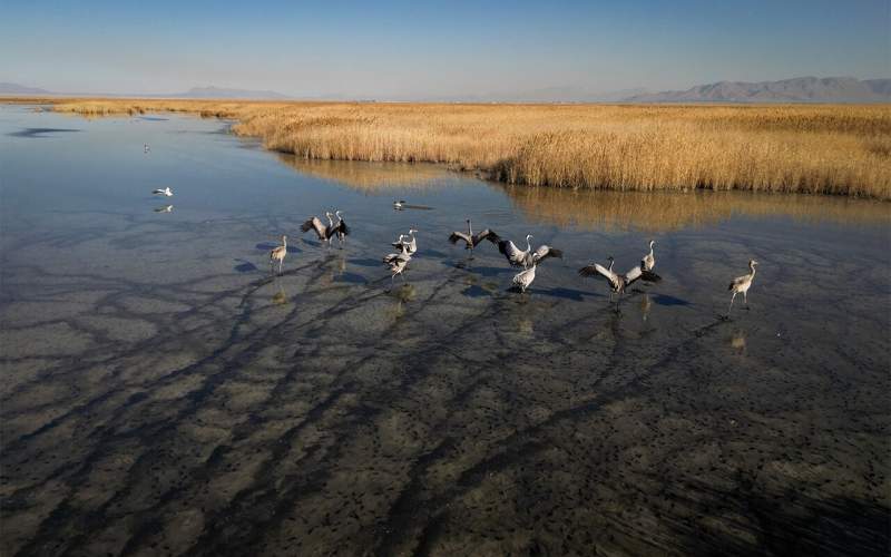 Mighan, a wetland for ecotourism, birdwatching