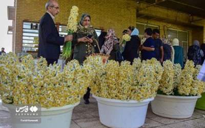 Photos: Narcissus Festival Underway in Iran’s Behbahan