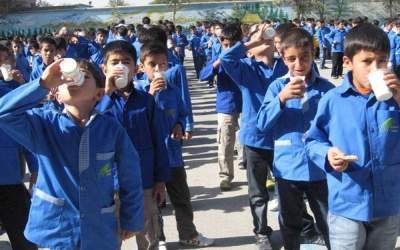 توزیع شیر در مدارس