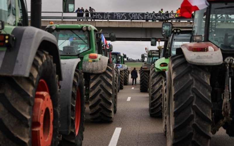 French Farmers 