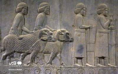 Photos: Gift Bearers Figures in Persepolis