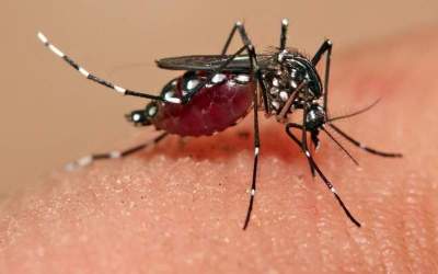 Climate change hampering Malaria elimination