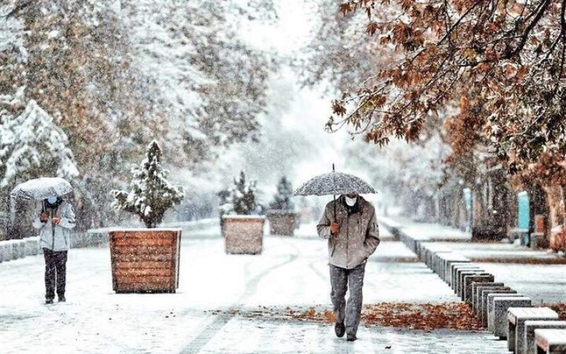 بارش باران