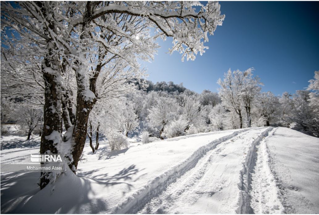 Snow landscapes from Iran’s Golestan