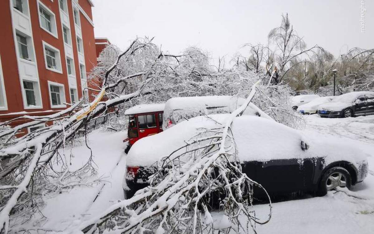 یخ‌بندان و سرمای زيرصفر در ۲۸ مرکز استان