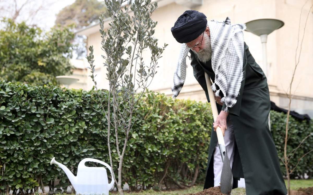 کاشت نهال توسط رهبر انقلاب