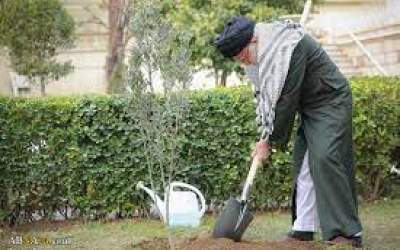 کاشت درخت توسط مقام معظم رهبری در روز درختکاری