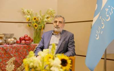spokesman of the Atomic Energy Organization of Iran (AEOI), Behrouz Kamalvandi