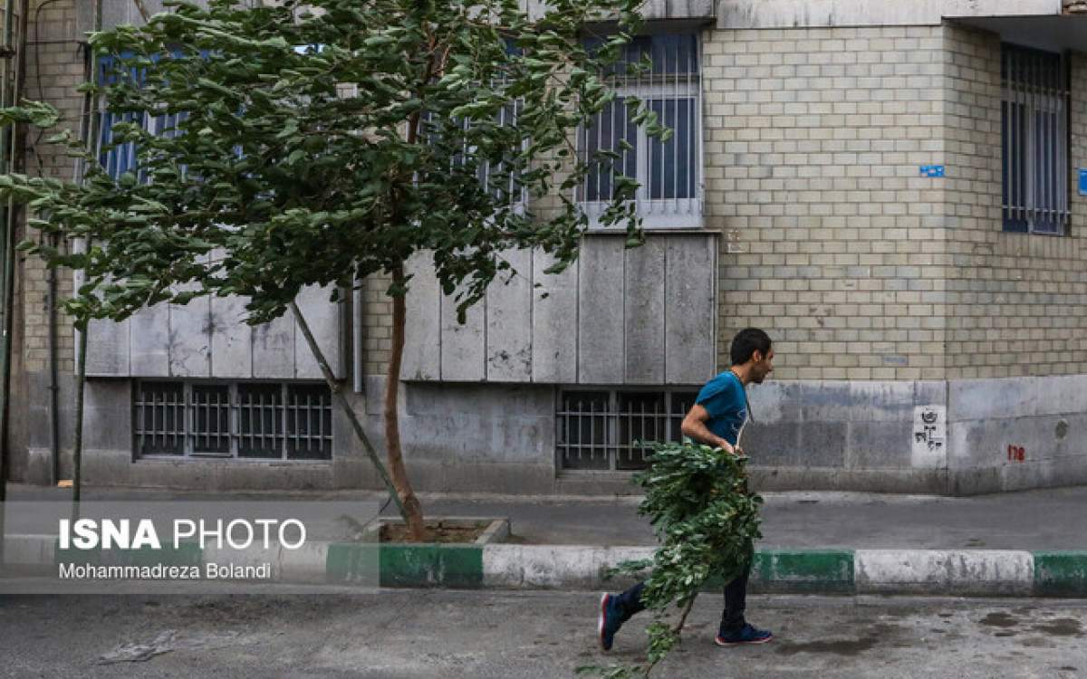 وزش باد شدید در تهران