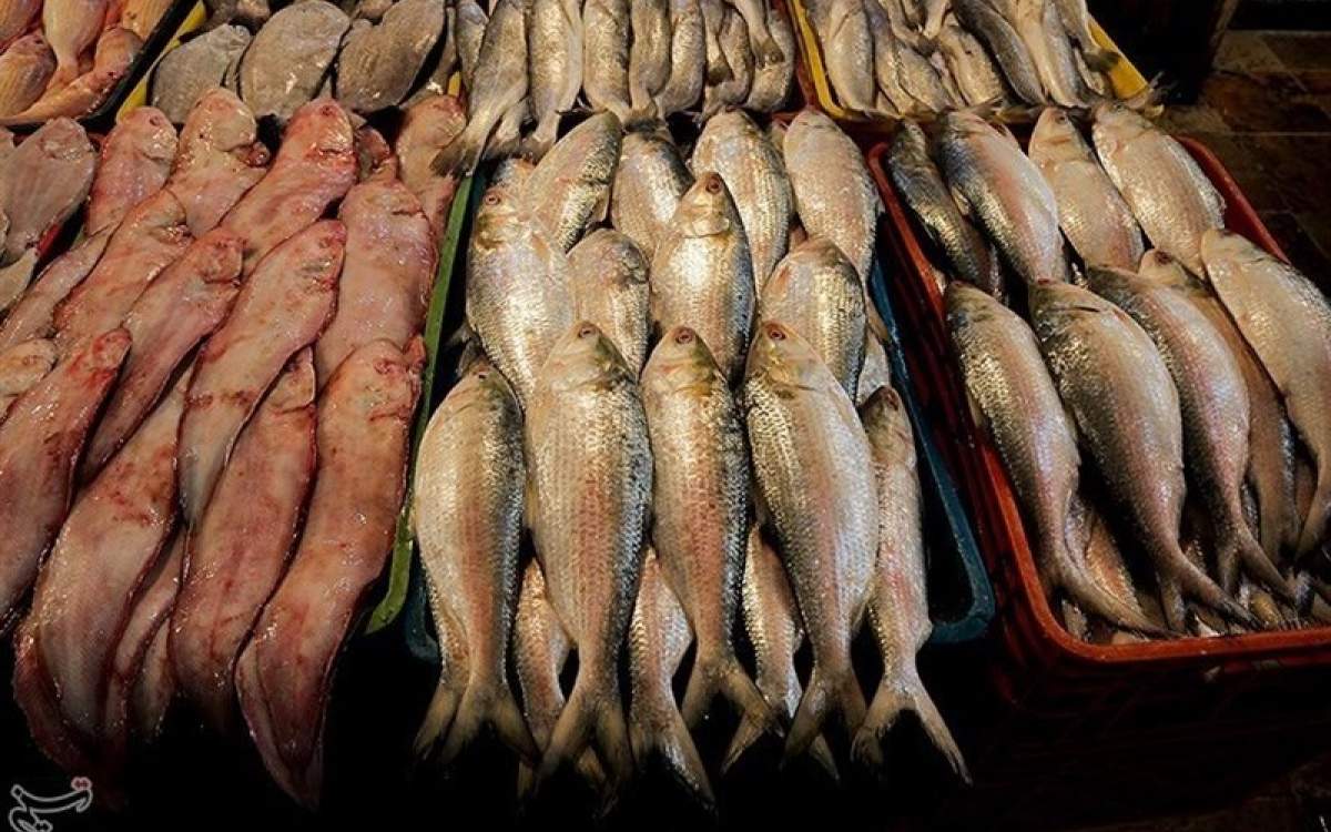 Iran’s export of fishery and aquatic products