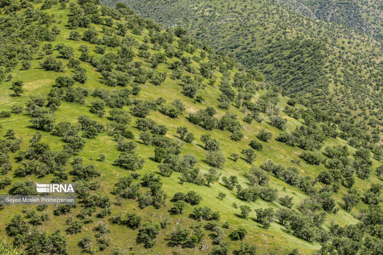 Spring Nature of Kordestan