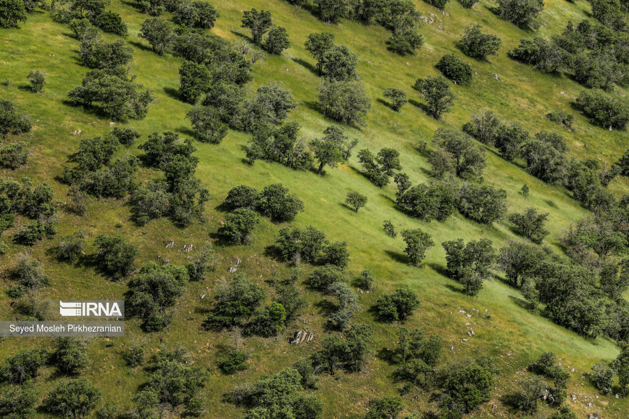 Spring Nature of Kordestan