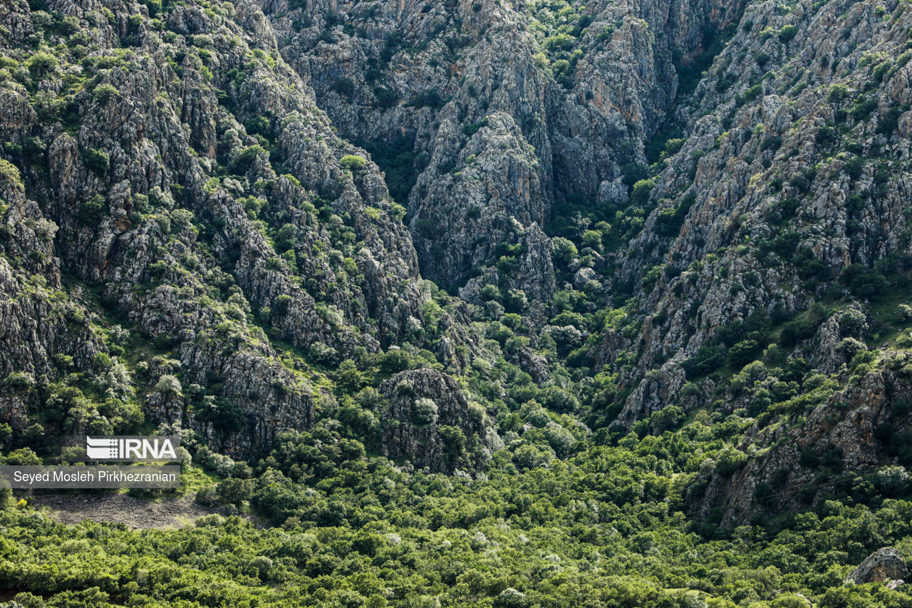 Spring Nature of Kordestan