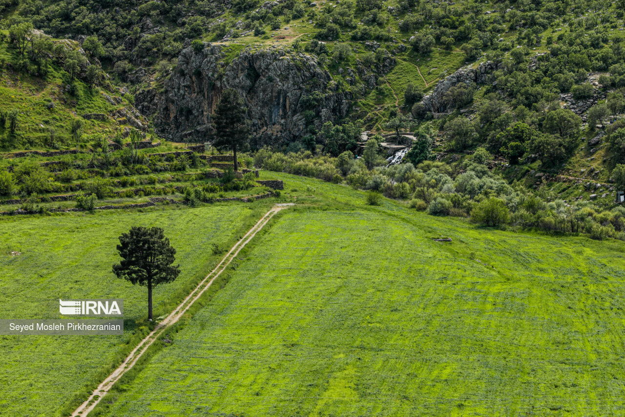 Spring Nature of Kordestan