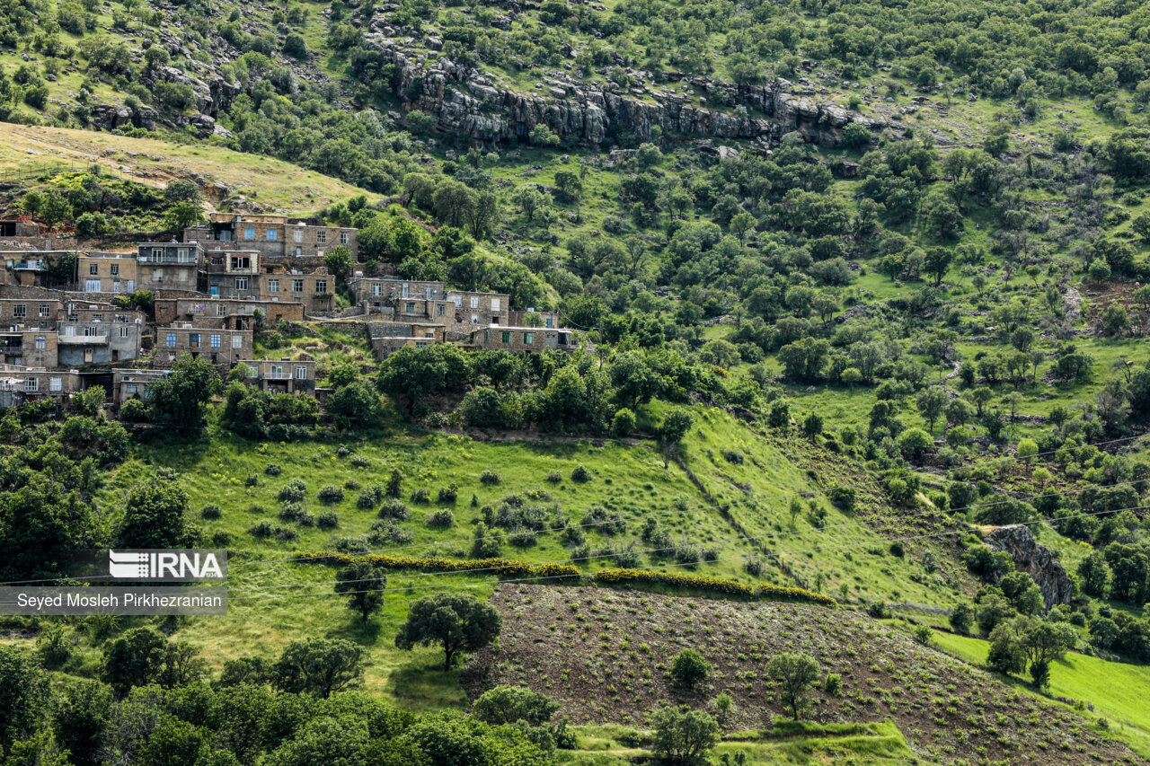 Spring Nature of Kordestan