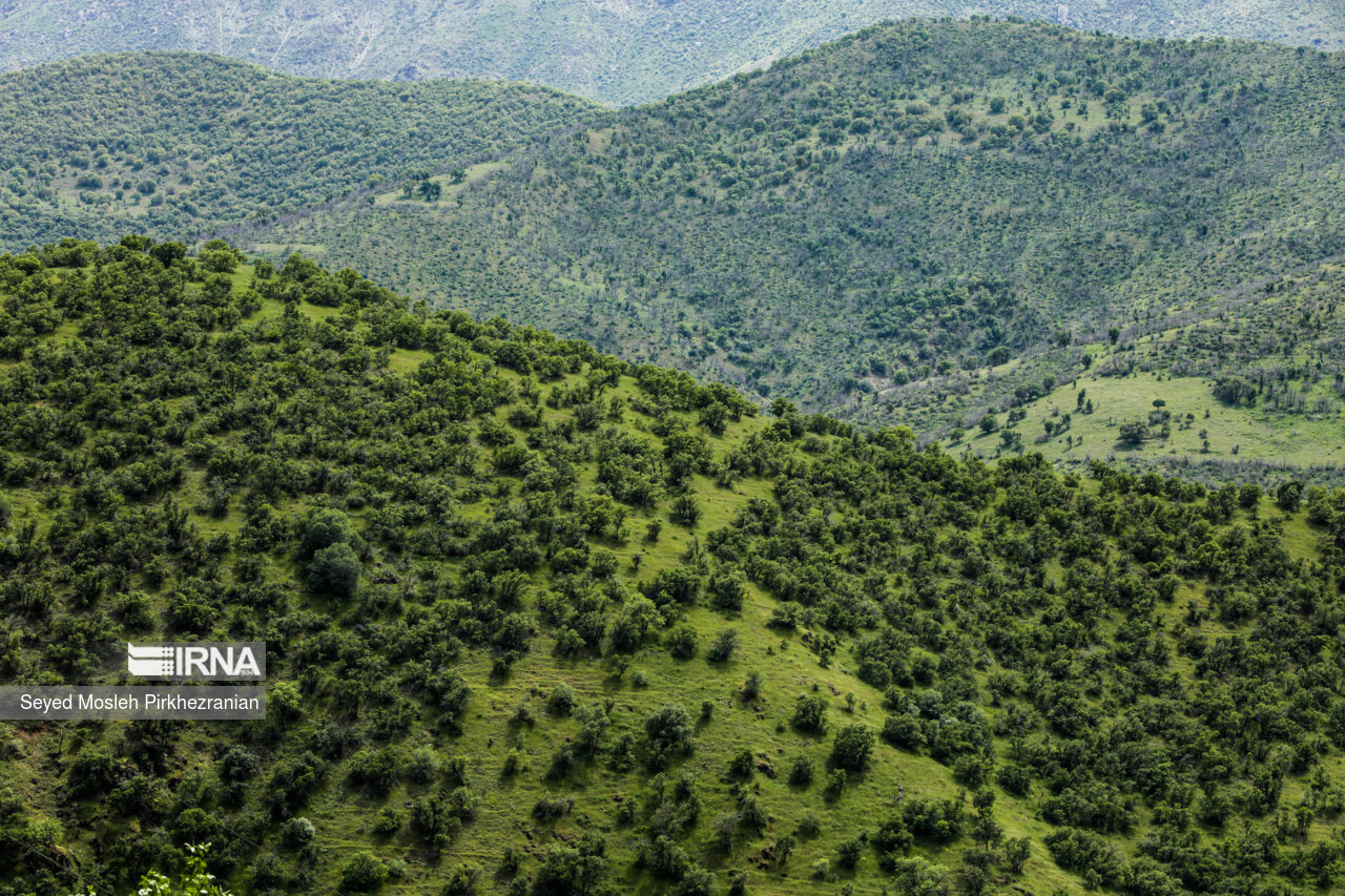 Spring Nature of Kordestan