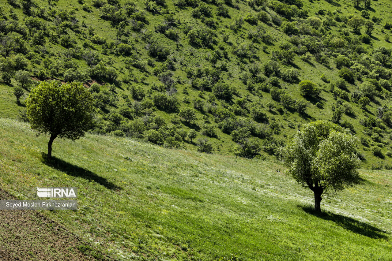 Spring Nature of Kordestan