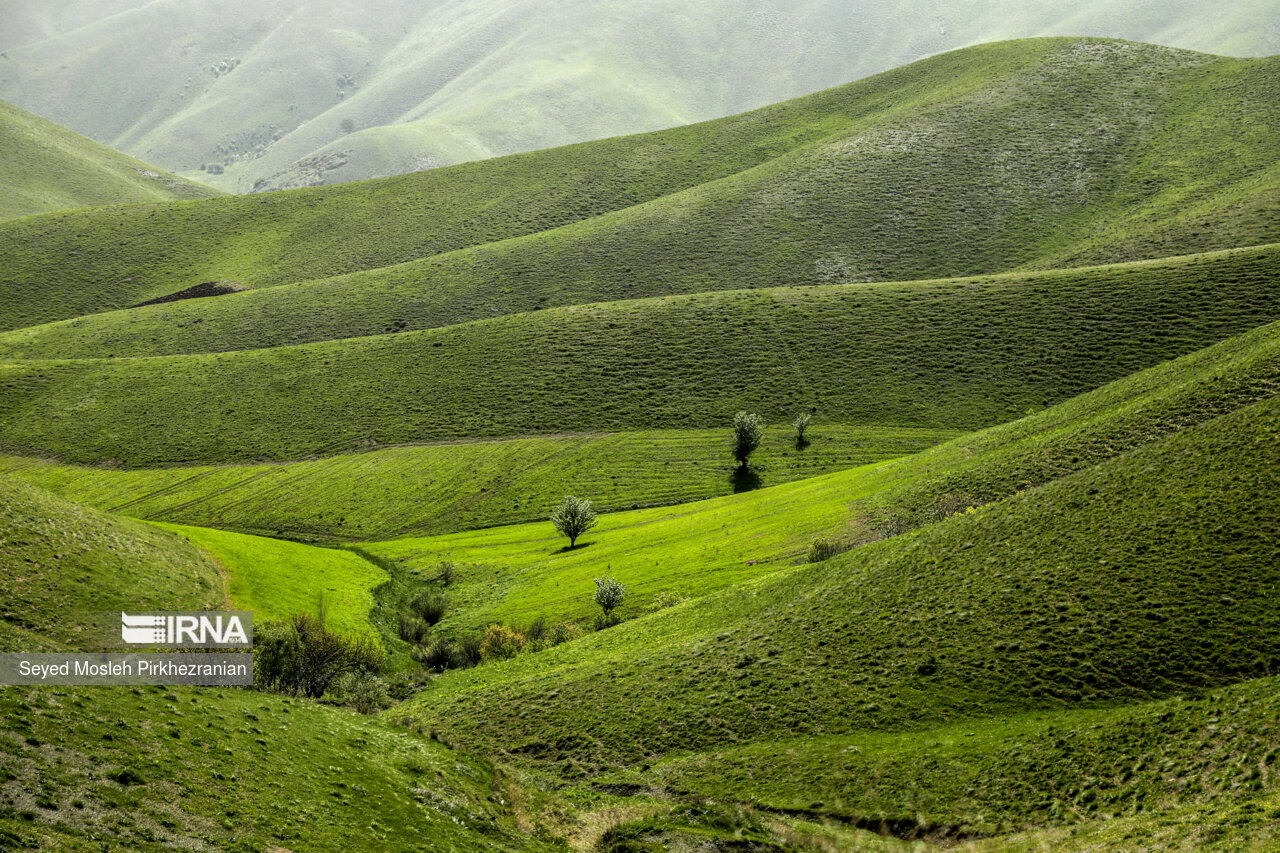 Spring Nature of Kordestan