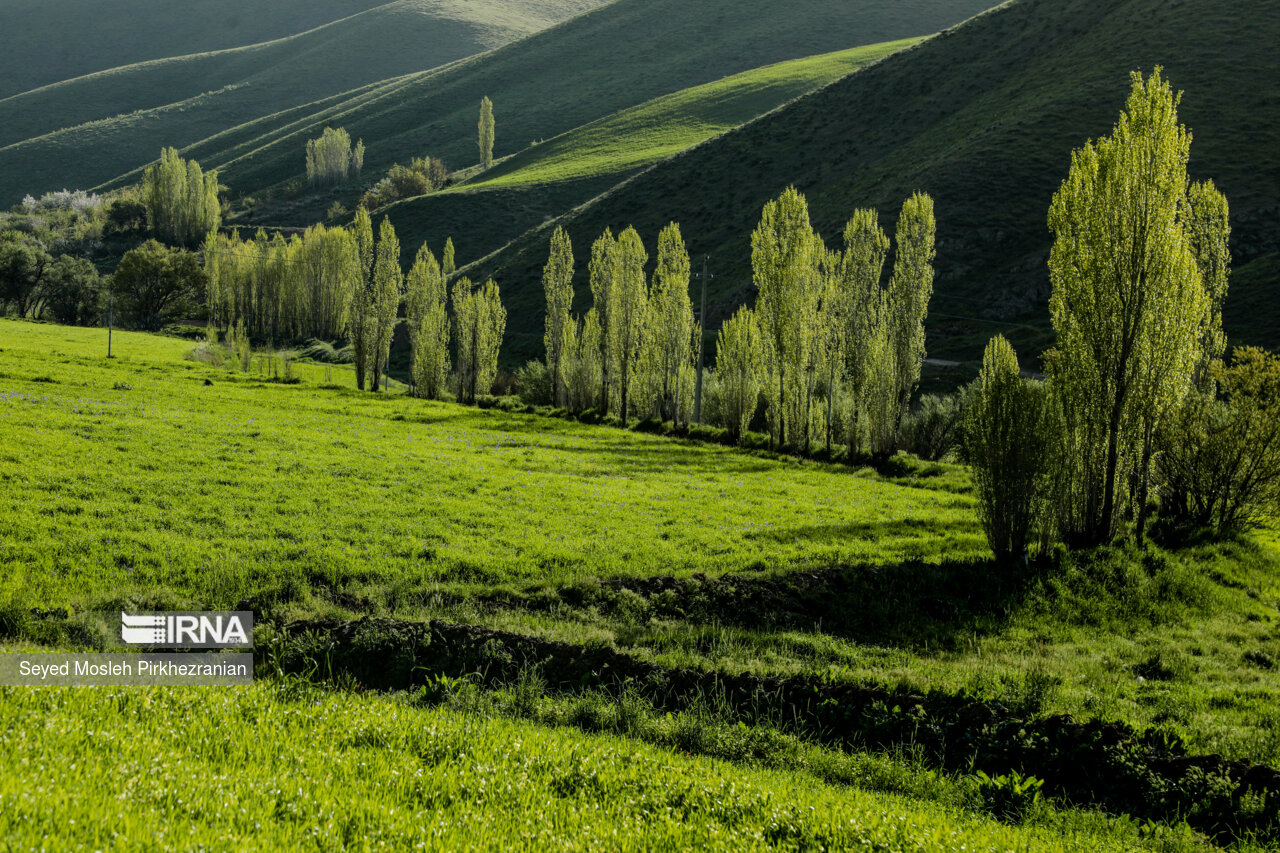 Spring Nature of Kordestan