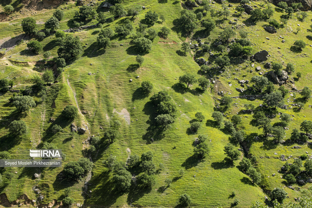 Spring Nature of Kordestan