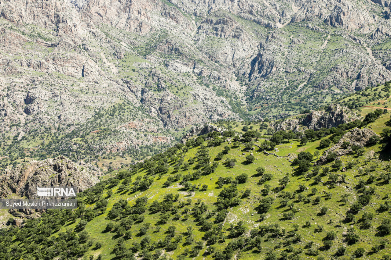 Spring Nature of Kordestan