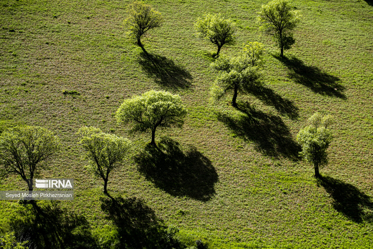 Spring Nature of Kordestan