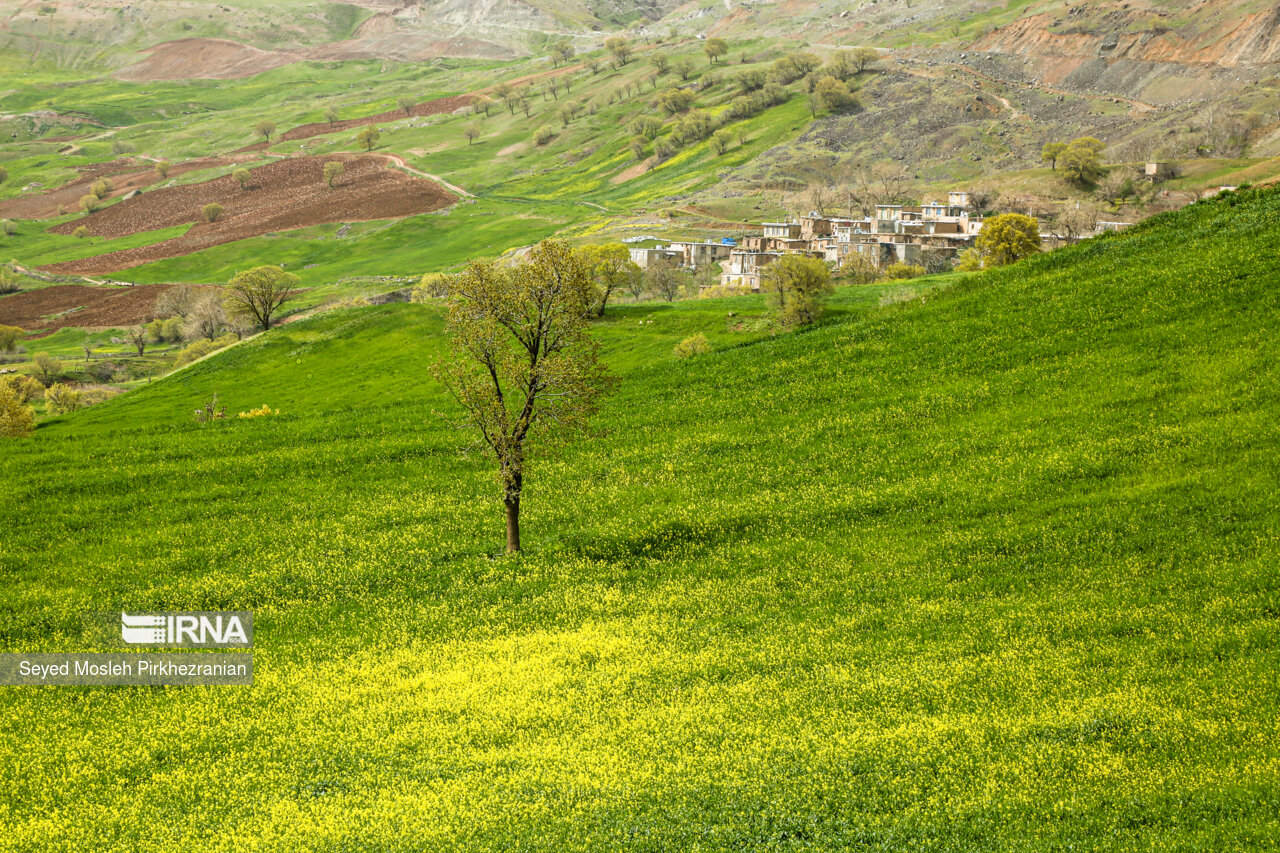 Spring Nature of Kordestan