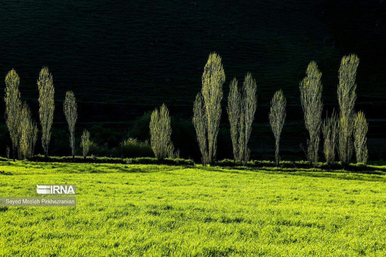 Spring Nature of Kordestan