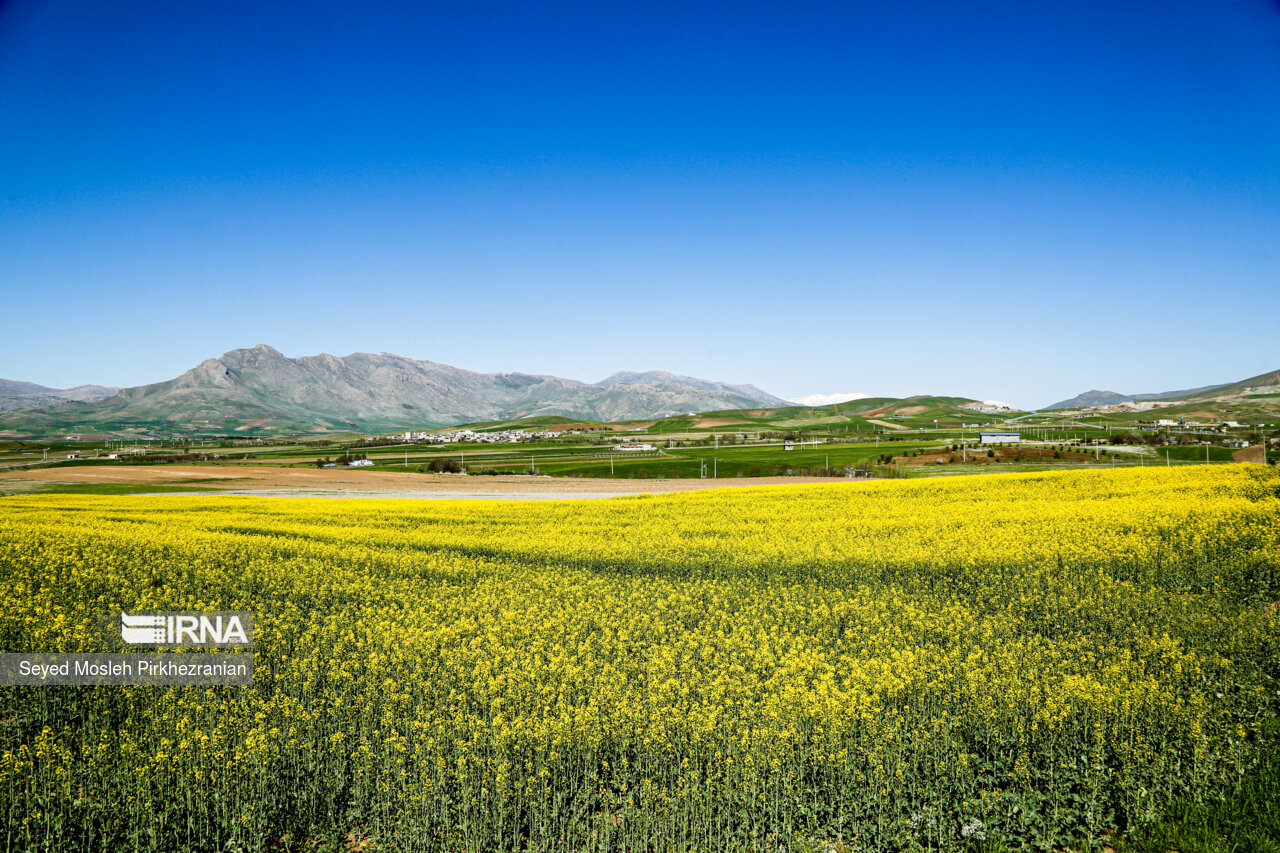 Spring Nature of Kordestan