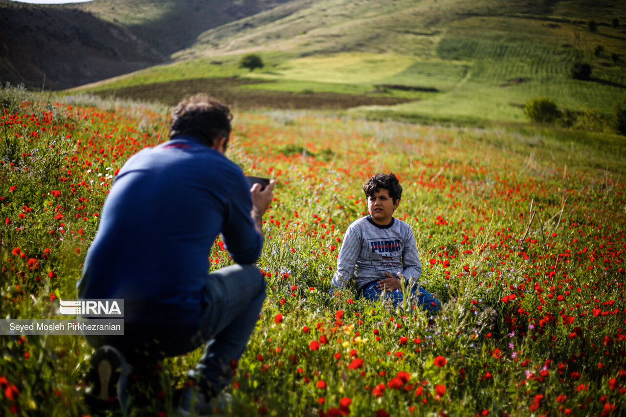 Spring Nature of Kordestan