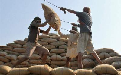 واردات برنج هندی