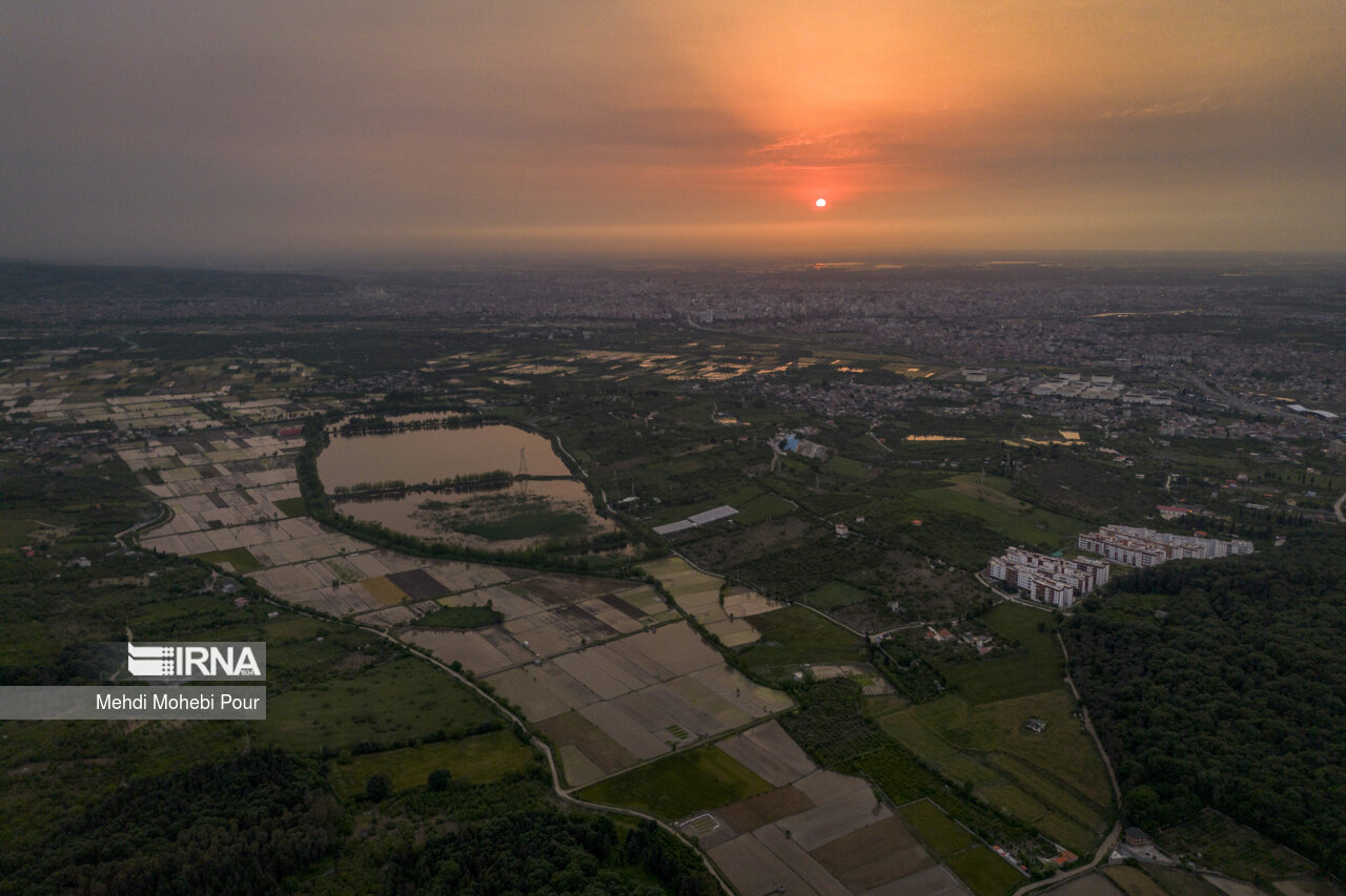 Rice planting season