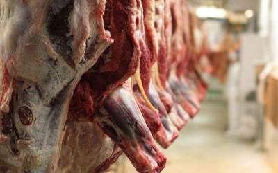 جدیدترین قیمت گوشت در بازار/ قیمت‌ها کاهشی می شود؟