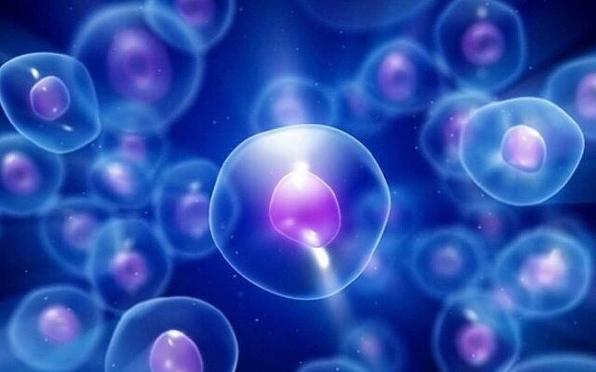 Iran Ranks 13th Globally in Scientific Production on Stem Cells, Regenerative Medicine