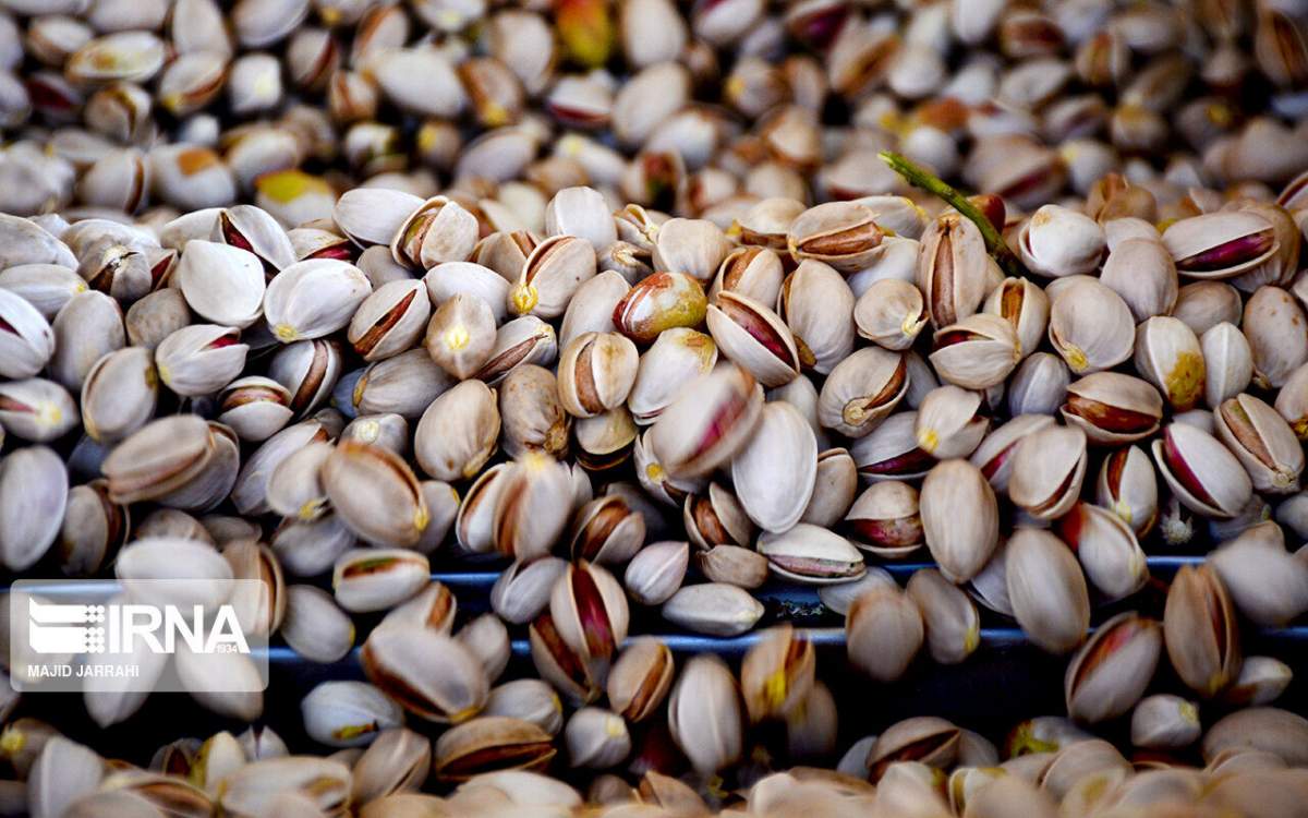 Iran pistachio exports to EU up 17% y/y in first quarter 2024