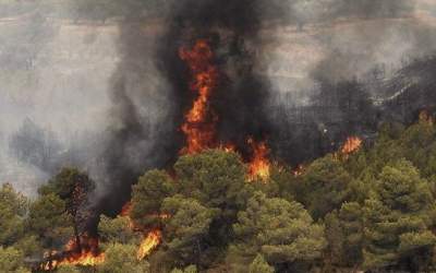 فیلم: شعله‌های آتش به جان جنگل‌های پاوه افتاد  