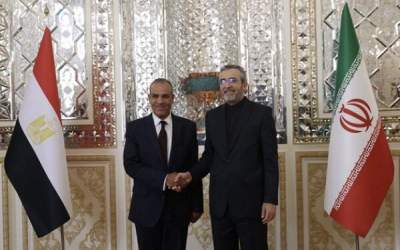 Egypt FM meets with Ali Bagheri Kani