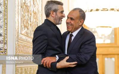 Egypt FM meets with Ali Bagheri Kani