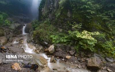 عکس: ارتفاعات جنگلی اولنگ، شهرستان رامیان  <img src="https://cdn.theiranproject.com/images/picture_icon.png" width="16" height="16" border="0" align="top">